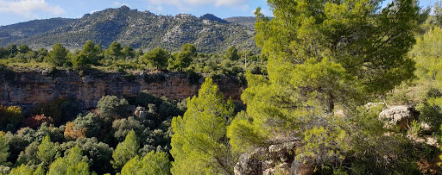 Camping la Bolera