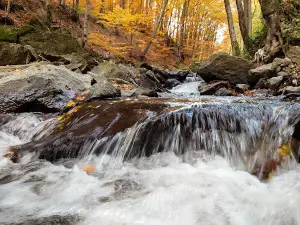 Cascada Pădurea Neagră