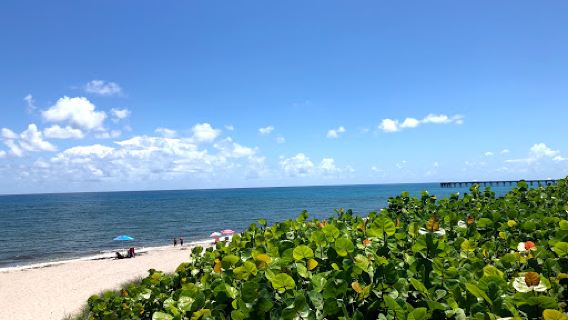 Jupiter Off-Leash Dog Beach