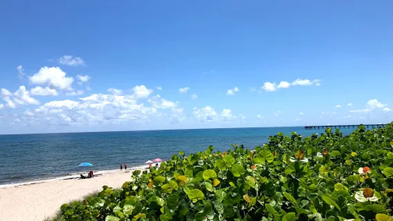 Jupiter Off-Leash Dog Beach
