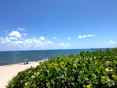 Jupiter Off-Leash Dog Beach