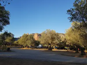 Armalygal