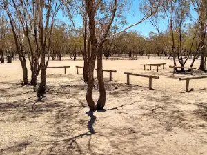Collarenebri Rest Area