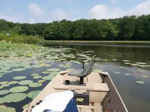 Bayou Des Arc WMA