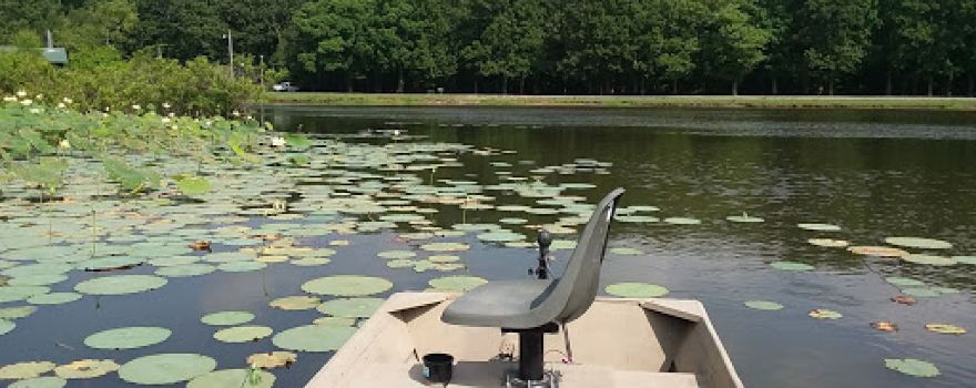 Bayou Des Arc WMA