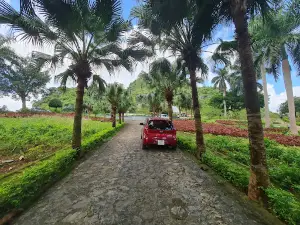 Citadel of Mạc Dynasty