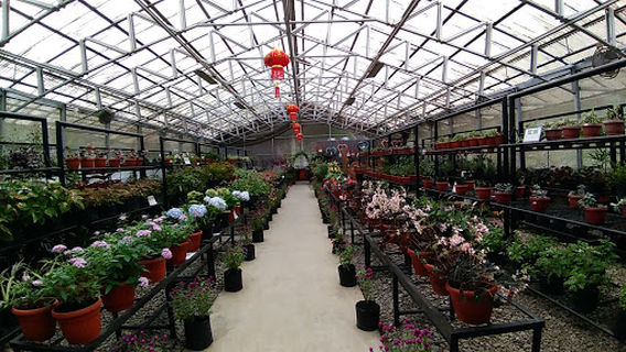 The Waterfall - Taman Simalem Resort