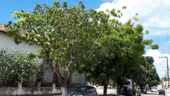 Paróquia Nossa Senhora da Conceição de Barreirinhas