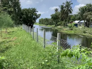 Baashir Gate / বাশির গেইট