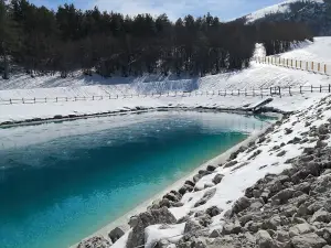 Monte Magnola Impianti s.r.l