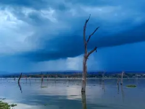 Lakes NAIVASHA - Crescent Island