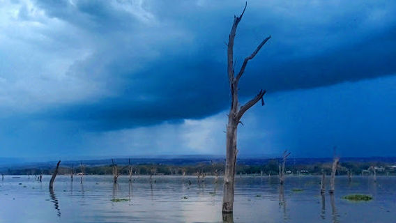 Lakes NAIVASHA - Crescent Island