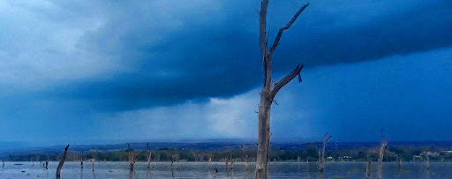 Lakes NAIVASHA - Crescent Island