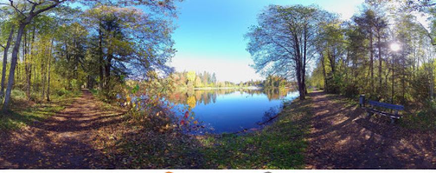 Waldsee