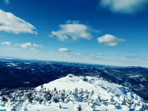 마운트 맨스필드 주립산림공원
