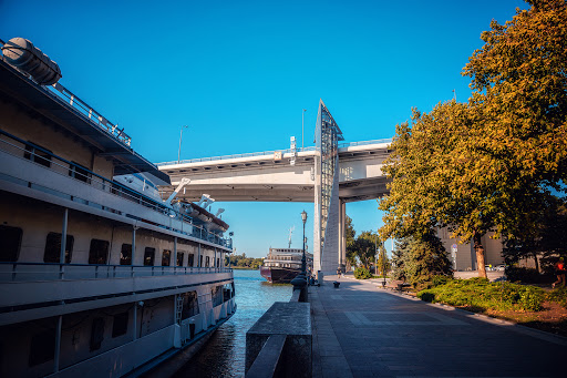 Ұйқыдағы жыныстық қатынас