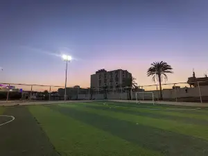 Tor Sinai Stadium