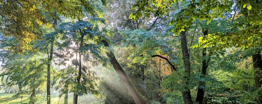Schlosspark Eckstedt