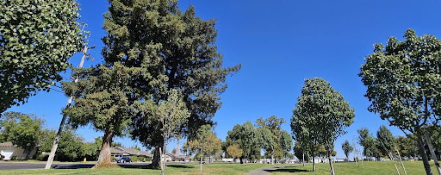 Smyrna Community Park