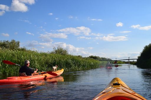 Narew