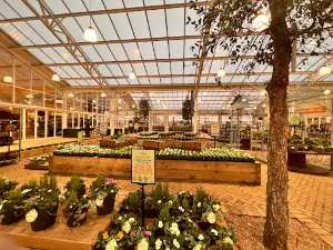 Blue Diamond Garden and Home