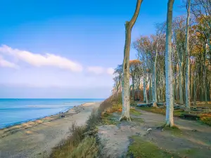 Strand Nienhagen
