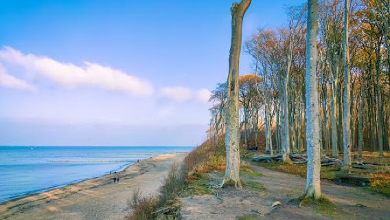Strand Nienhagen