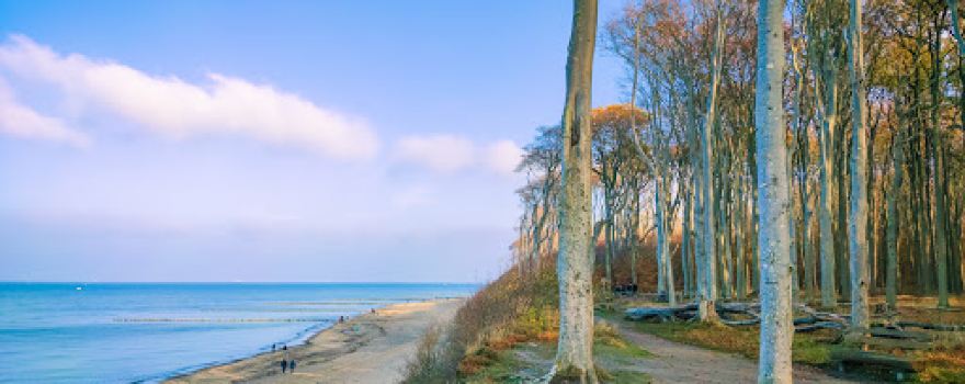 Strand Nienhagen