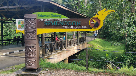 Semenggoh Nature Reserve