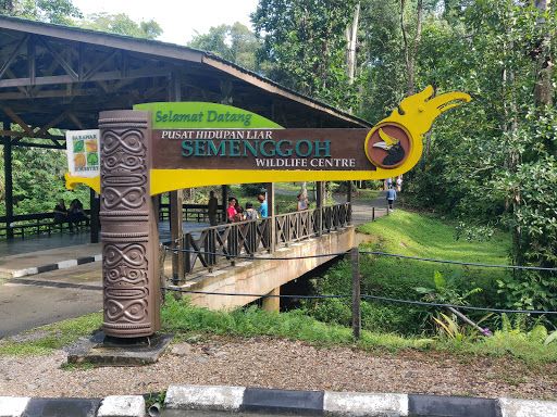 Semenggoh Nature Reserve