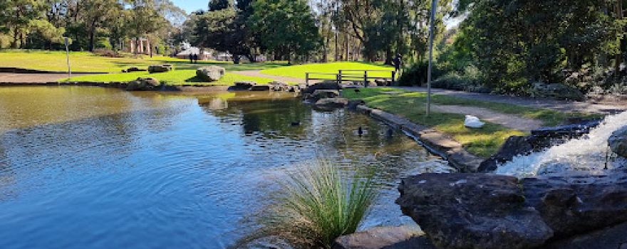 Wiley Park