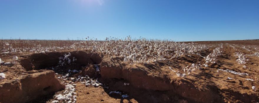 Turkey Depot, Caprock Canyons State Park Trailways