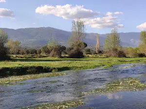 Tiétar