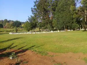 Greytown Battlefield Route