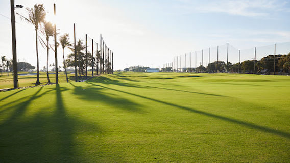 The Park