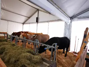 Foire du Valais