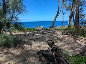 MacKenzie State Recreation Area