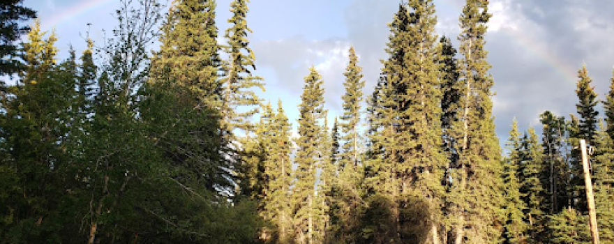 King For A Day Campground & Charters