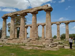 Riserva Naturale Statale di Metaponto