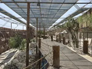 The Global small Village