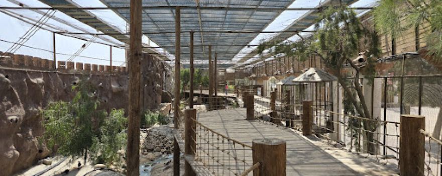 The Global small Village