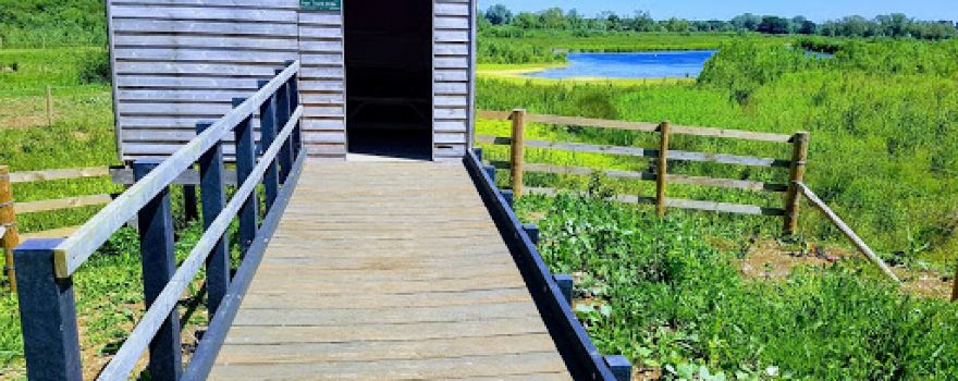 Iron Trunk Bird Hide
