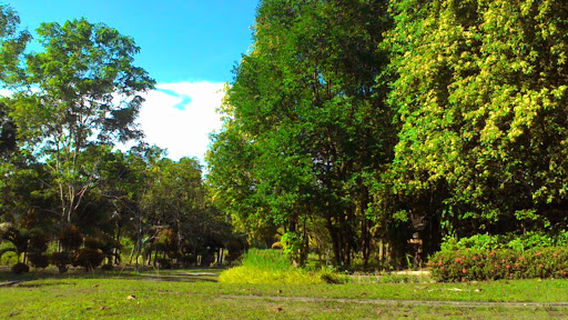 Taman Doa Maria Guadalupe