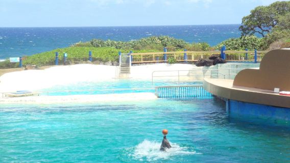 Sea Life Park Hawaii