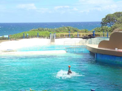 Sea Life Park Hawaii