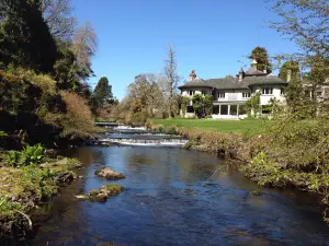 Mount Usher Gardens