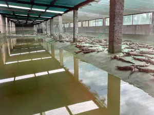Croc Farm Conservatoire Botanique de Madagascar