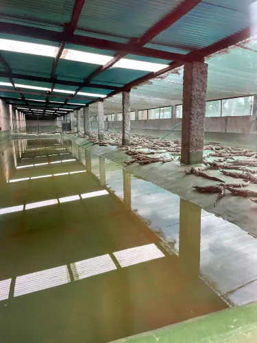 Croc Farm Conservatoire Botanique de Madagascar