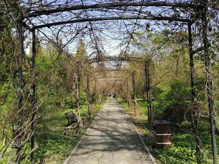 Hotels in der Nähe von Botanischer Garten