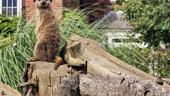 Filey Zoo
